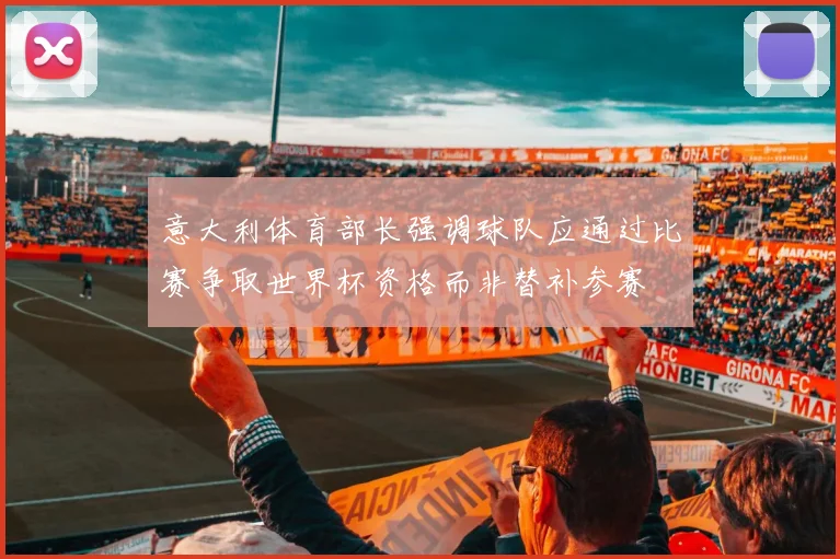 意大利体育部长强调球队应通过比赛争取世界杯资格而非替补参赛